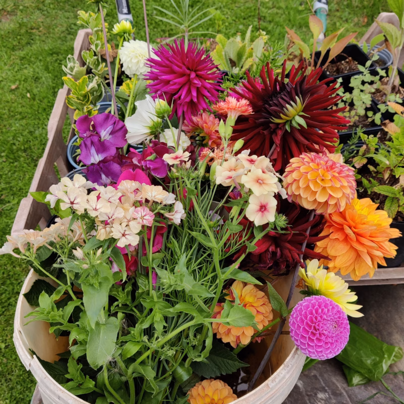a bucket of flowers for DIY arranging