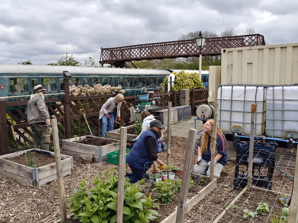 community garden volunteers